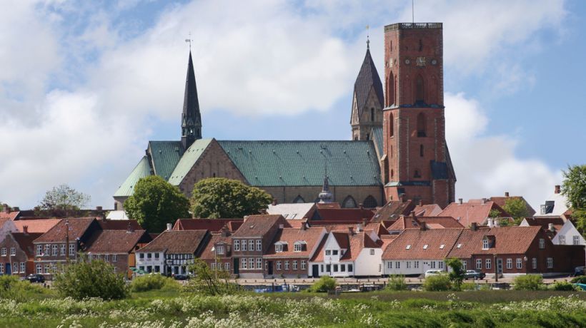 Billede af ribe domkirke
